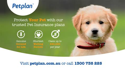 pet plan insurance contact